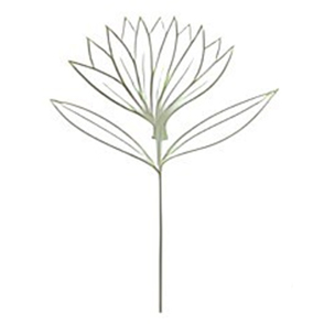logo-2